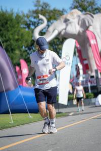 BIB: 
                            <button type="button" onclick="openModal(26544414)" class="btn btn-primary btn-sm float-right btn-popup" data-toggle="modal" data-target=".modal-high-quality">
                        <i class="fas fa-shopping-cart"></i> Add to Cart
                    </button>
                                            <button type="button" onclick="isThisMe(26544414, true)" class="btn btn-success btn-sm float-right btn-popup btn-isme hidden" data-toggle="tooltip" data-placement="bottom" title="นี่คือรูปของคุณใช่ไหม คลิกที่นี่เพื่อเอาเข้าอัลบั้ม">
                        <i class="fas fa-plus"></i> Add to album
                    </button>
                    <button type="button" onclick="isThisMe(26544414, false)" class="btn btn-warning btn-sm float-right btn-popup btn-isnotme hidden">
                        <i class="fas fa-ban"></i> Remove from album
                    </button>